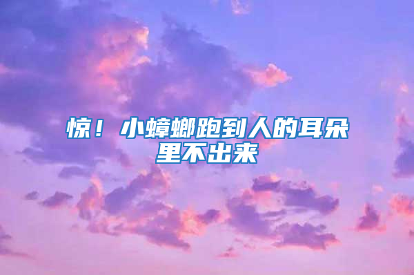 驚！小蟑螂跑到人的耳朵里不出來