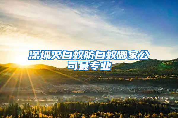 深圳滅白蟻防白蟻哪家公司最專業