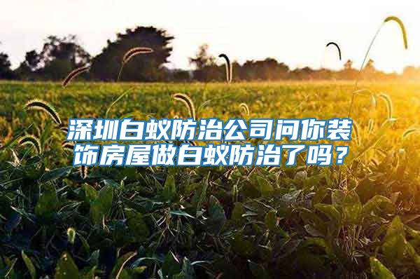 深圳白蟻防治公司問(wèn)你裝飾房屋做白蟻防治了嗎？