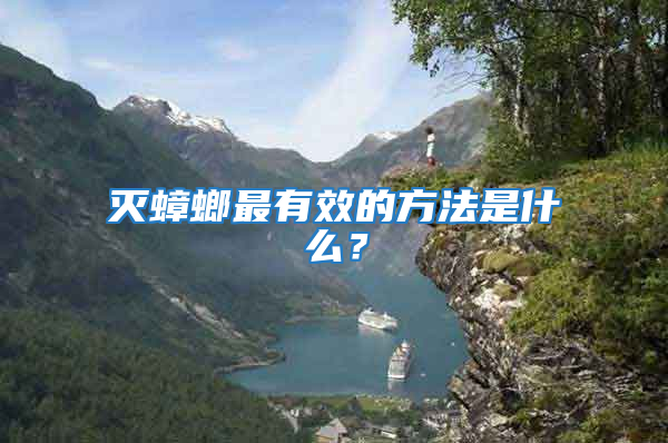 滅蟑螂最有效的方法是什么？