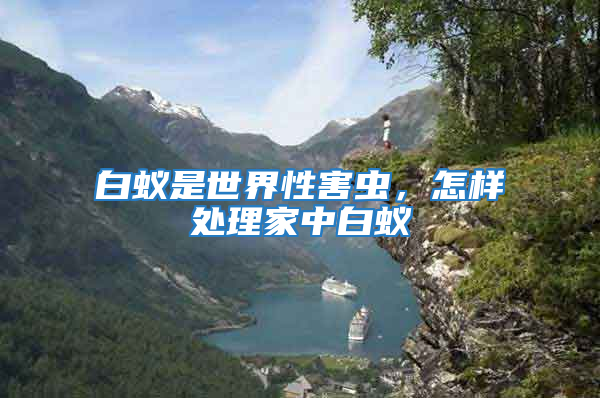 白蟻是世界性害蟲，怎樣處理家中白蟻