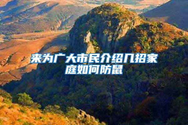 來(lái)為廣大市民介紹幾招家庭如何防鼠