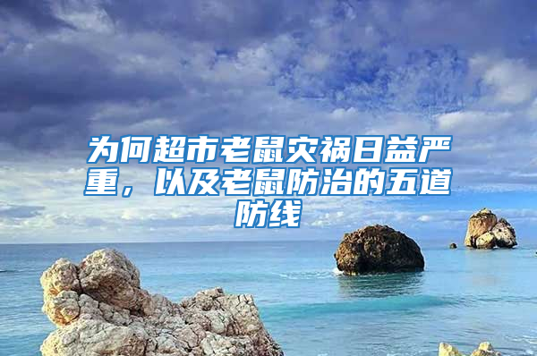 為何超市老鼠災禍日益嚴重，以及老鼠防治的五道防線