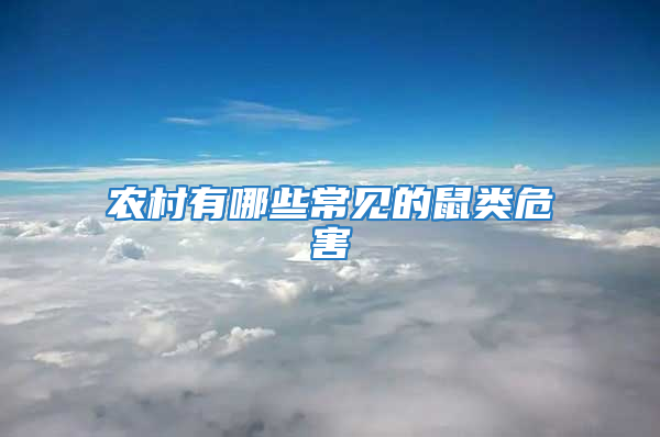 農(nóng)村有哪些常見(jiàn)的鼠類(lèi)危害