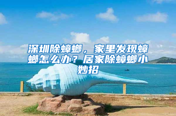 深圳除蟑螂，家里發(fā)現(xiàn)蟑螂怎么辦？居家除蟑螂小妙招