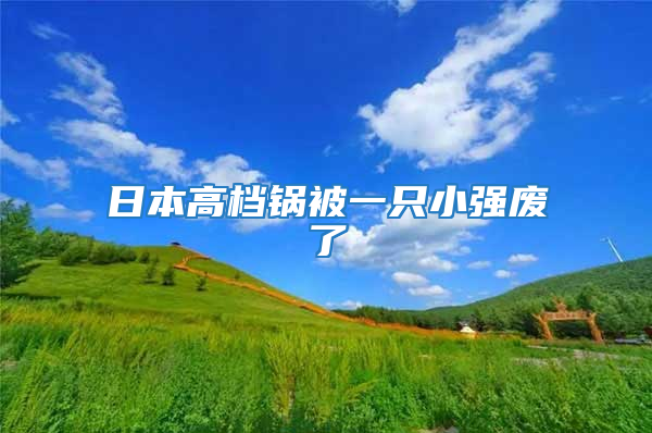 日本高檔鍋被一只小強(qiáng)廢了