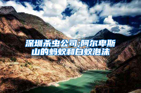 深圳殺蟲公司;阿爾卑斯山的螞蟻和白蟻泡沫