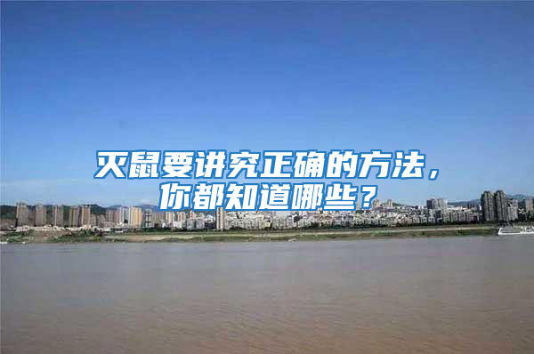 滅鼠要講究正確的方法，你都知道哪些？