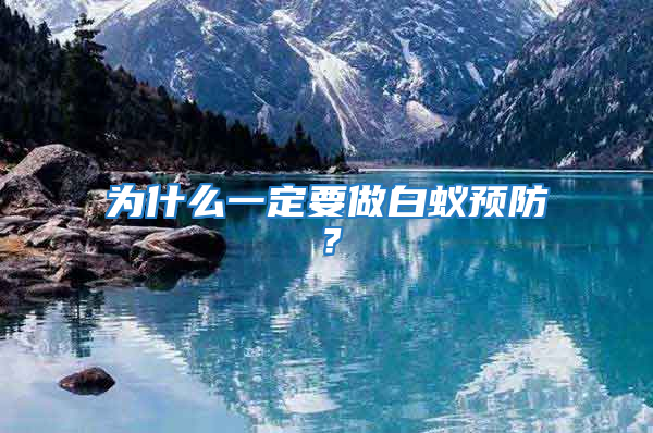 為什么一定要做白蟻預防？