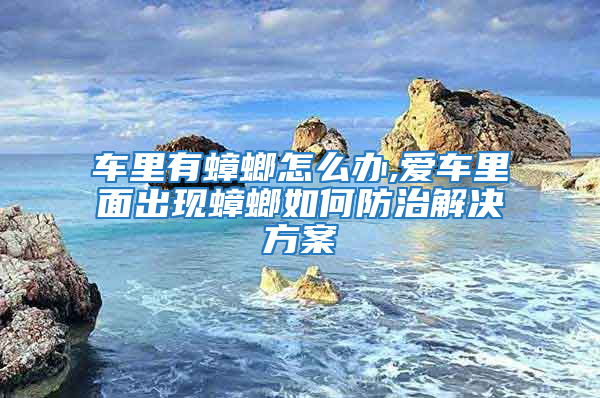 車里有蟑螂怎么辦,愛車里面出現蟑螂如何防治解決方案