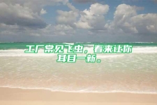 工廠常見飛蟲，看來(lái)讓你耳目一新。