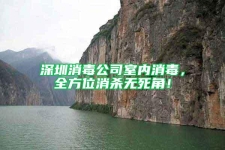深圳消毒公司室內(nèi)消毒，全方位消殺無(wú)死角！