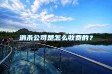 消殺公司是怎么收費(fèi)的？