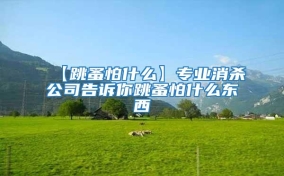 【跳蚤怕什么】專業消殺公司告訴你跳蚤怕什么東西