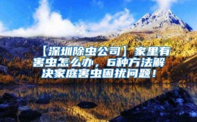 【深圳除蟲公司】家里有害蟲怎么辦，6種方法解決家庭害蟲困擾問題！