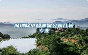 深圳除甲醛哪家公司比較專業